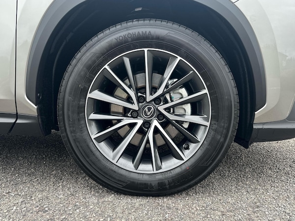 Used Lexus NX 2025 for sale - 76241241: Photo 10