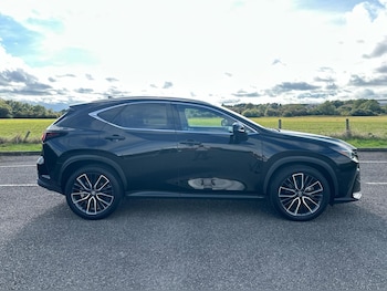 Used Lexus NX 2024 for sale - 75742508: Photo