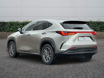 Used Lexus NX 2025 for sale - 76671019: Photo
