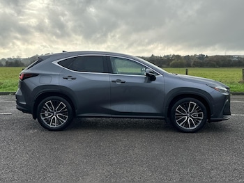 Used Lexus NX 2023 for sale - 76434253: Photo