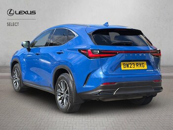 Used Lexus NX 2023 for sale - 78102460: Photo