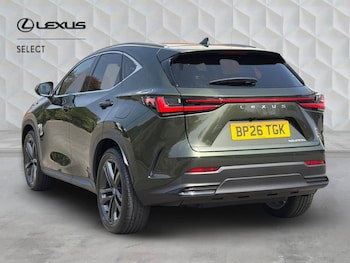 Used Lexus NX 2026 for sale - 79256833: Photo