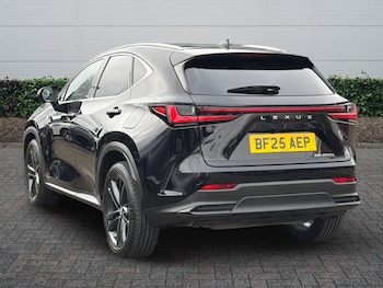 Used Lexus NX 2025 for sale - 77725106: Photo