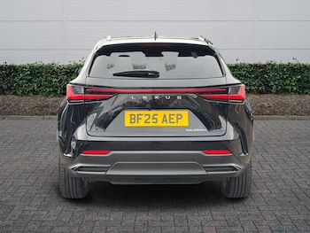 Used Lexus NX 2025 for sale - 77725106: Photo