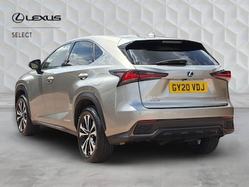 Used Lexus NX undefined for sale - 79063638: Photo