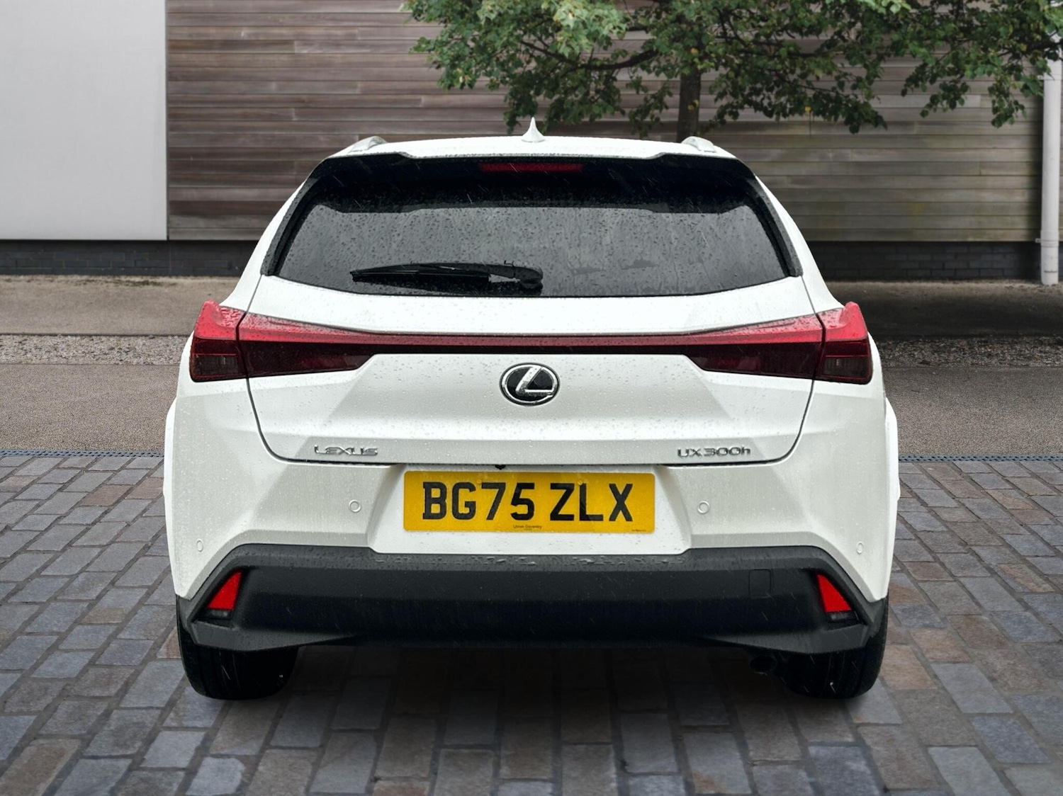 Used Lexus UX 2025 for sale - 76670962: Photo 10