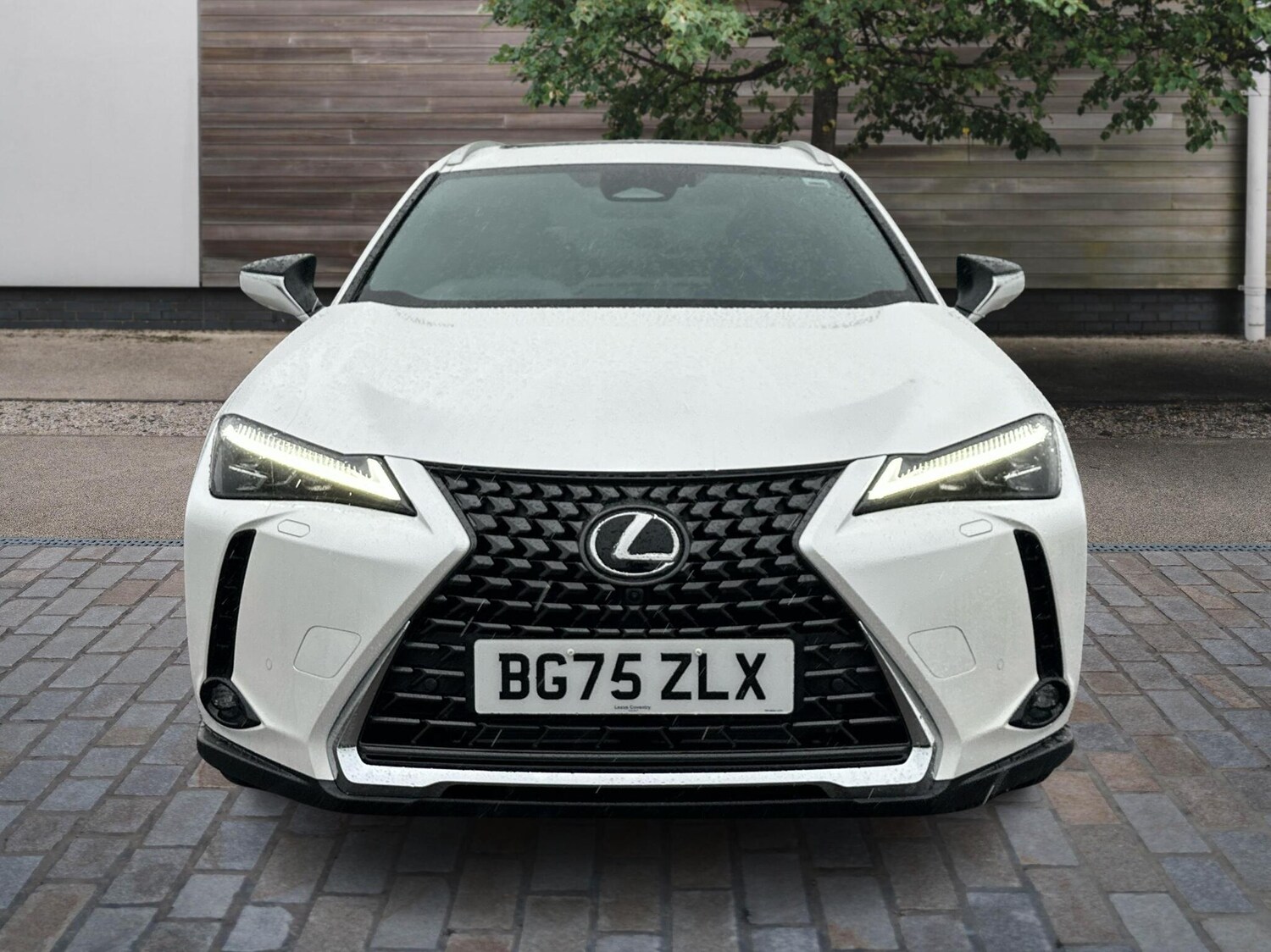 Used Lexus UX 2025 for sale - 76670962: Photo 7