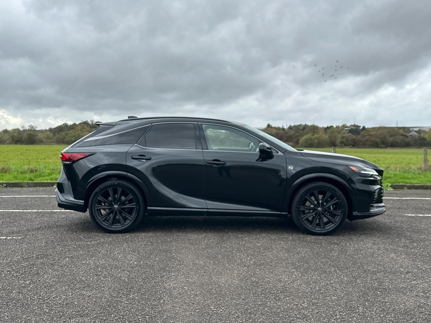 Used Lexus RX 2025 for sale - 77427532: Photo 4