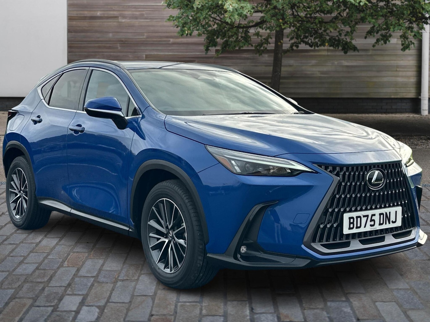 Used Lexus NX 2025 for sale - 76671014: Photo 1