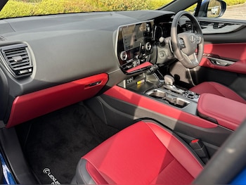 Used Lexus NX 2025 for sale - 76671014: Photo