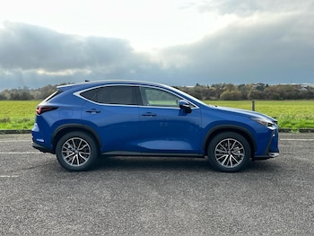 Used Lexus NX 2025 for sale - 76671014: Photo