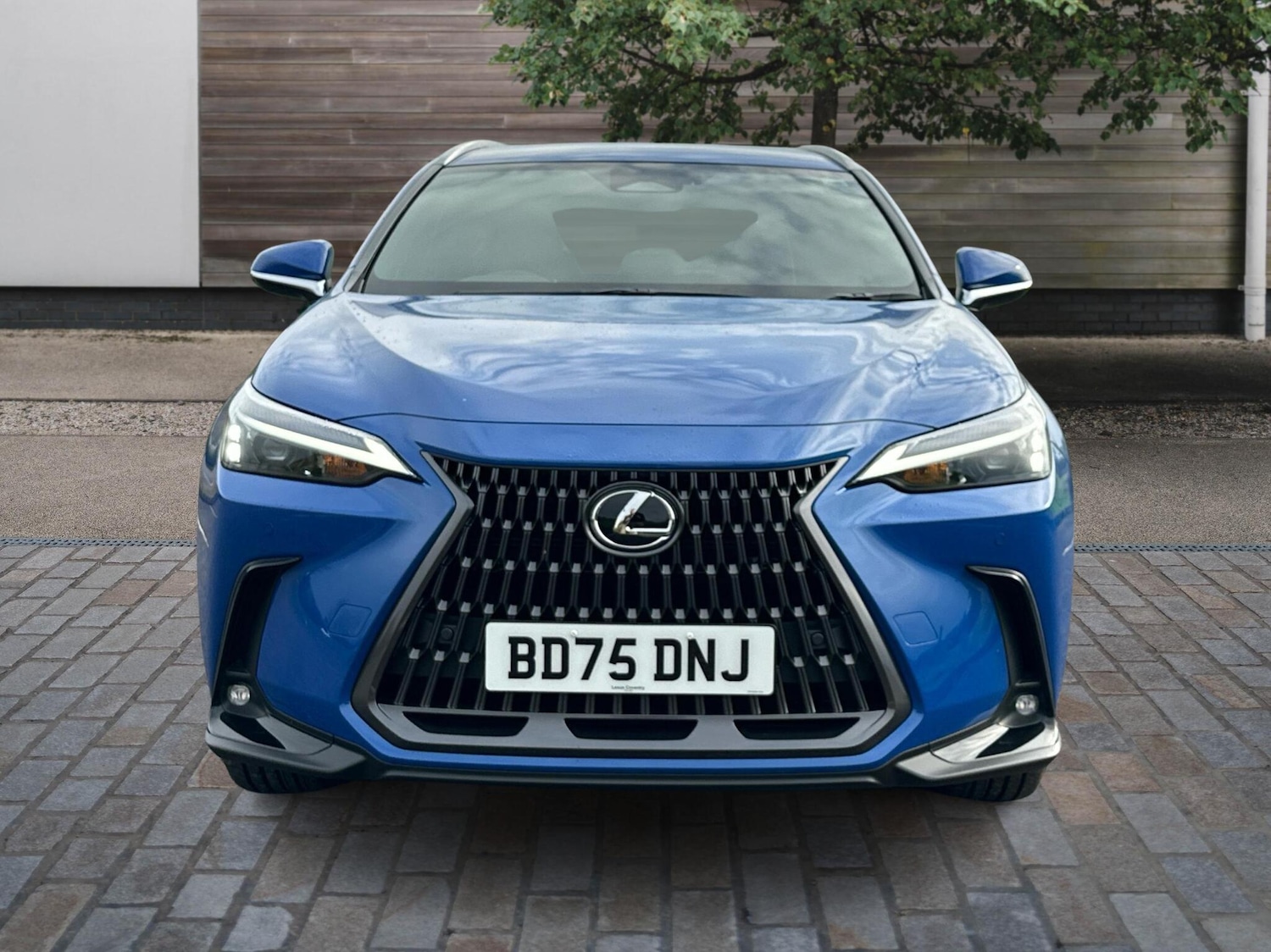 Used Lexus NX 2025 for sale - 76671014: Photo 7