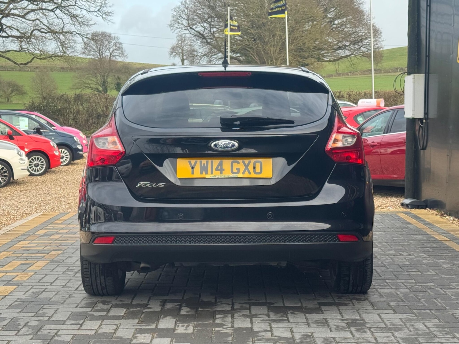 Used Ford Focus 2014 for sale - 77625591: Photo 4