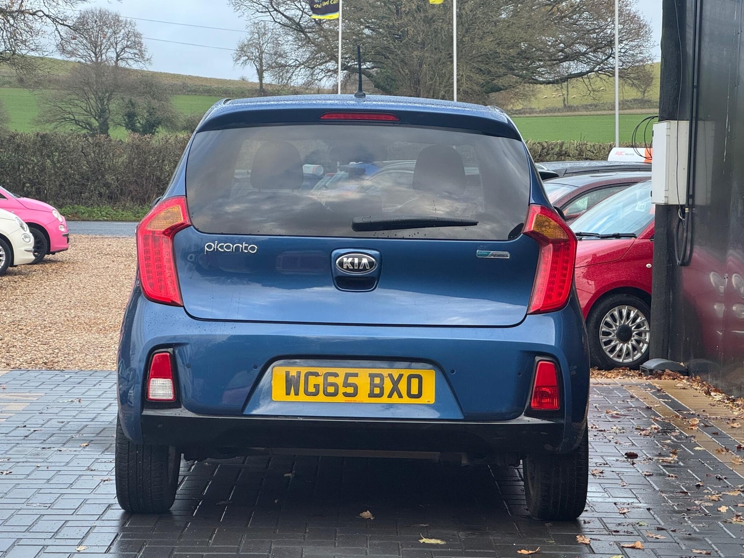 Used Kia Picanto 2015 for sale - 76898847: Photo 5