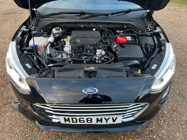 Used Ford Focus 2019 for sale - 67039817: Photo 7