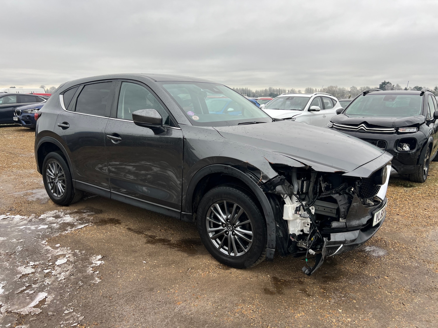 Vehicle 5