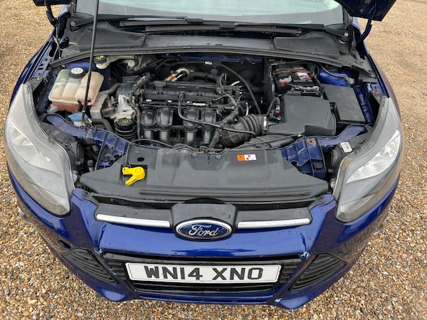 Used Ford Focus 2014 for sale - 70717968: Photo 7