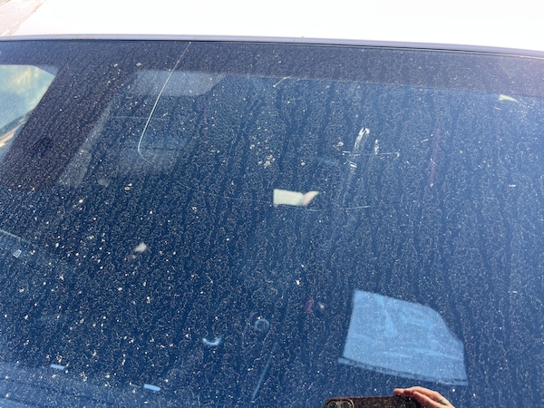 Used BMW 2 Series 2014 for sale - 74808918: Photo 13