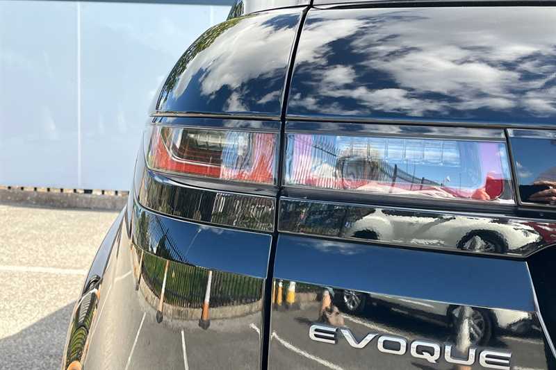 Vehicle 31