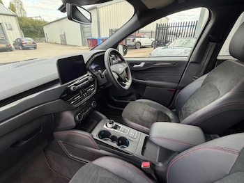 Used Ford Kuga 2024 for sale - 79599152: Photo