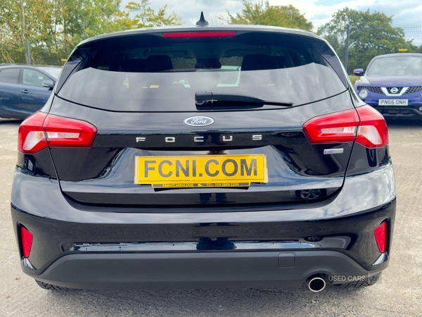 Used Ford Focus 2019 for sale - 76850790: Photo 15