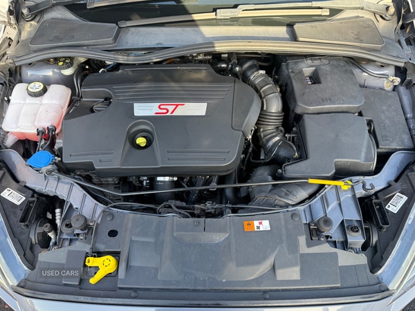 Used Ford Focus 2016 for sale - 76671965: Photo 11