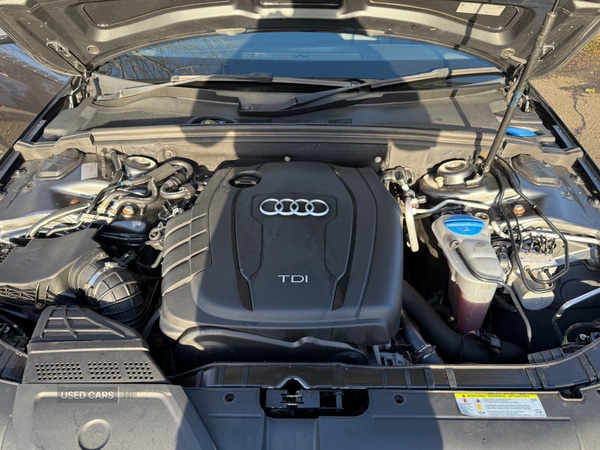 Used Audi A4 2015 for sale - 77050381: Photo 9