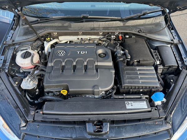 Used Volkswagen Golf 2015 for sale - 77794750: Photo 8