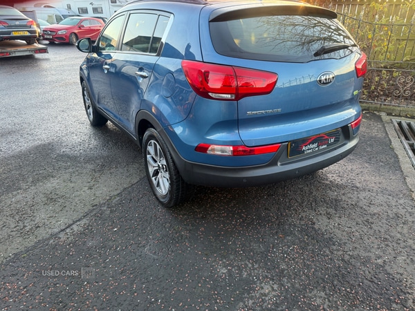 Used Kia Sportage 2014 for sale - 77825384: Photo 3