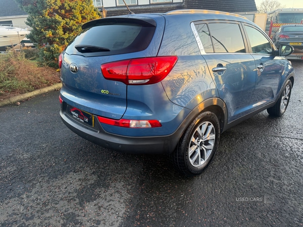 Used Kia Sportage 2014 for sale - 77825384: Photo 4