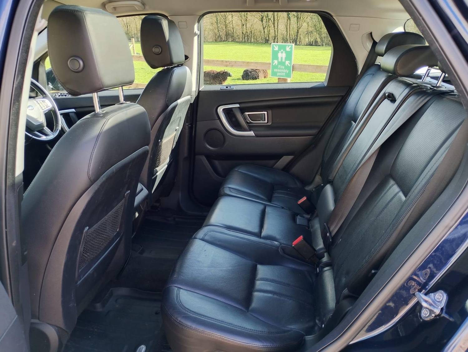 Used Land Rover Discovery Sport 2015 for sale - 77709913: Photo 12