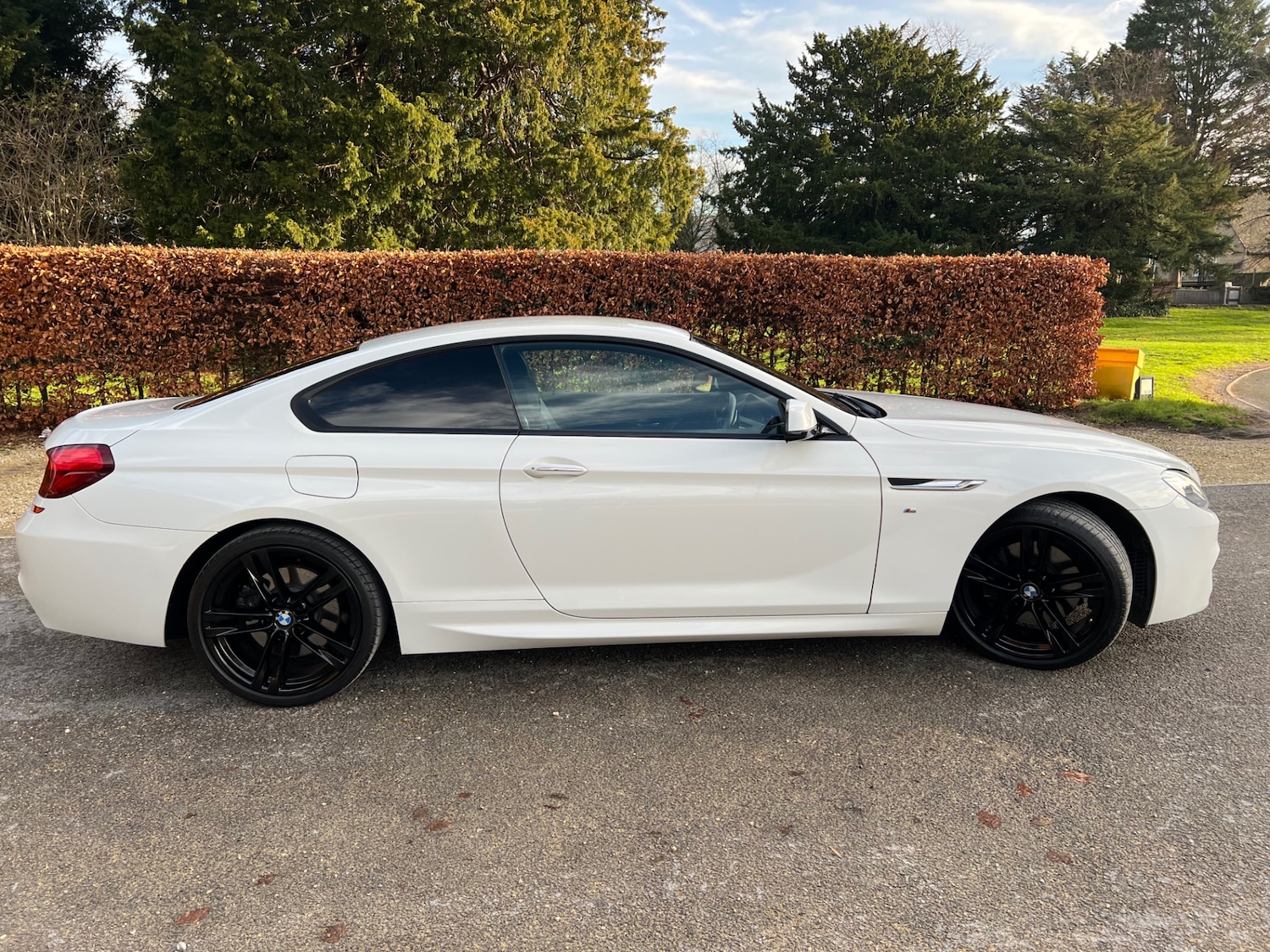 Used BMW 6 Series 2014 for sale - 76941147: Photo 10