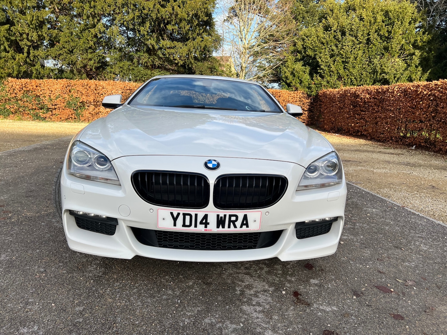 Used BMW 6 Series 2014 for sale - 76941147: Photo 11