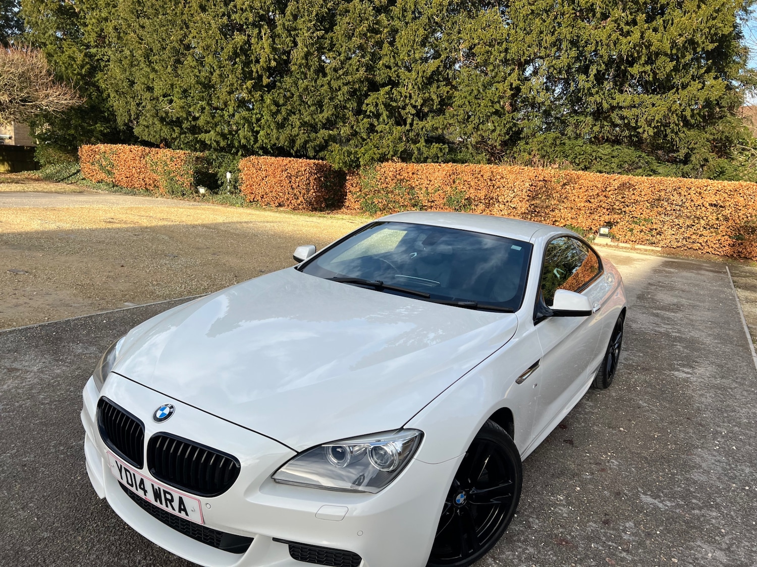 Used BMW 6 Series 2014 for sale - 76941147: Photo 12