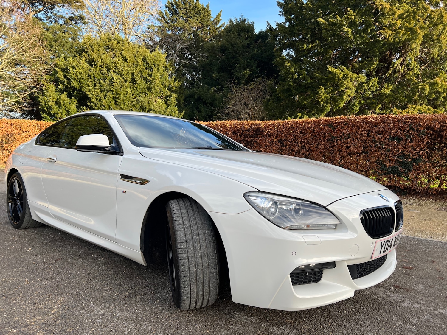 Used BMW 6 Series 2014 for sale - 76941147: Photo 13