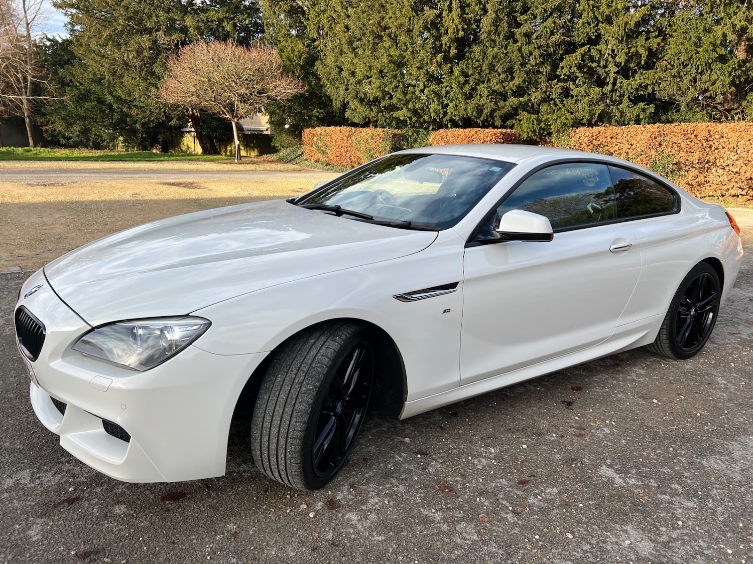 Used BMW 6 Series 2014 for sale - 76941147: Photo 14