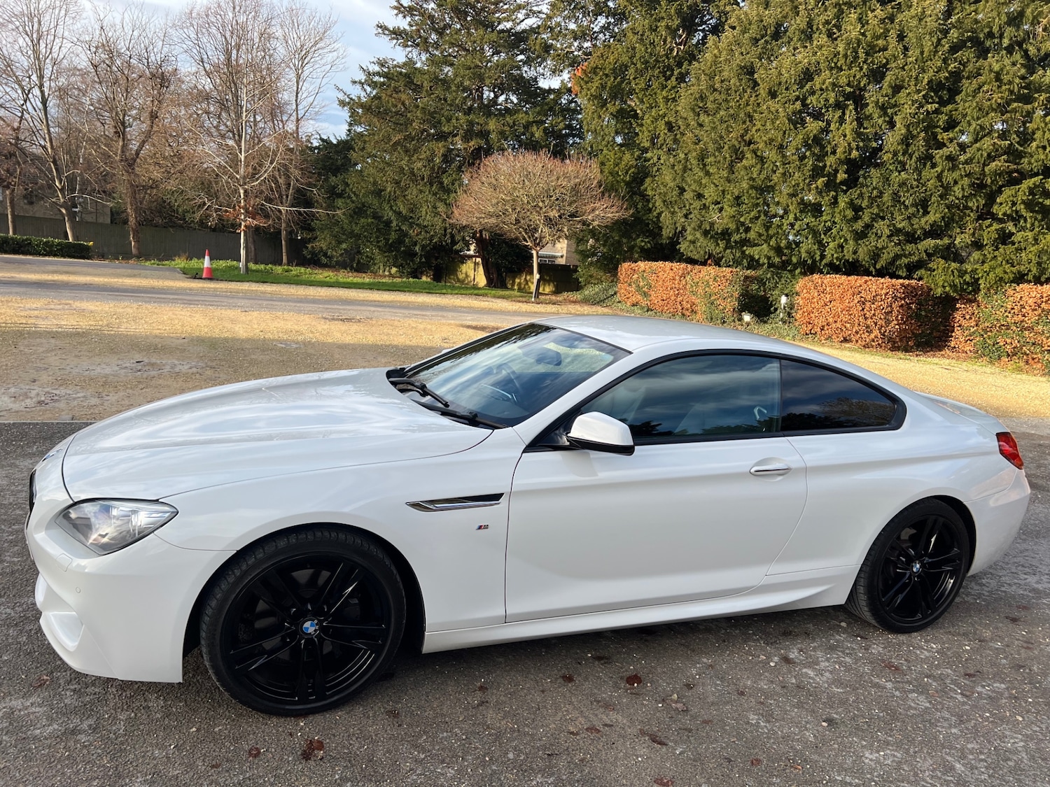 Used BMW 6 Series 2014 for sale - 76941147: Photo 16