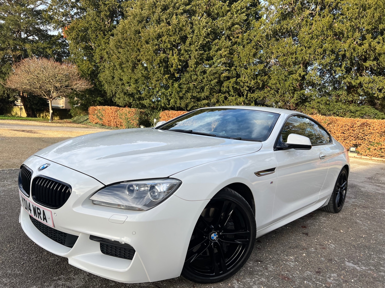 Used BMW 6 Series 2014 for sale - 76941147: Photo 2