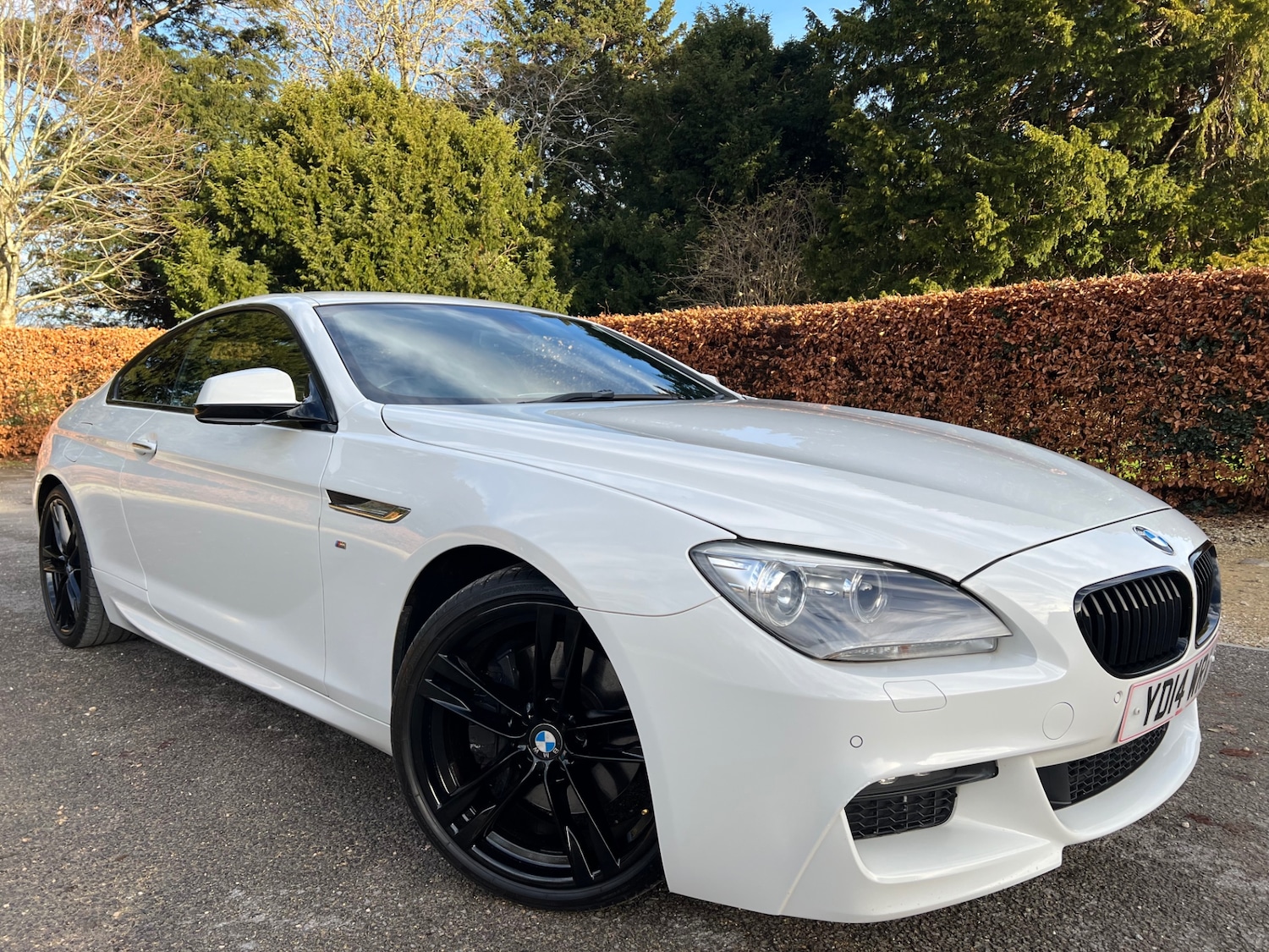 Used BMW 6 Series 2014 for sale - 76941147: Photo 3