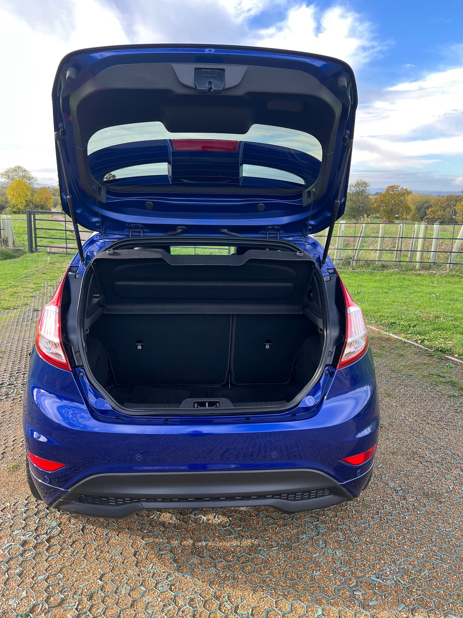 Used Ford Fiesta 2016 for sale - 76444407: Photo 13