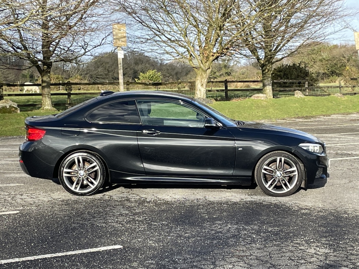 Used BMW 2 Series 2018 for sale - 77213470: Photo 19