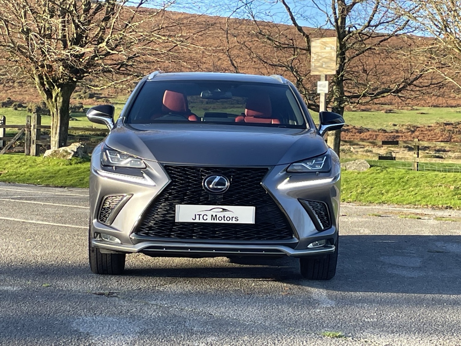 Used Lexus NX 2019 for sale - 76510858: Photo 8