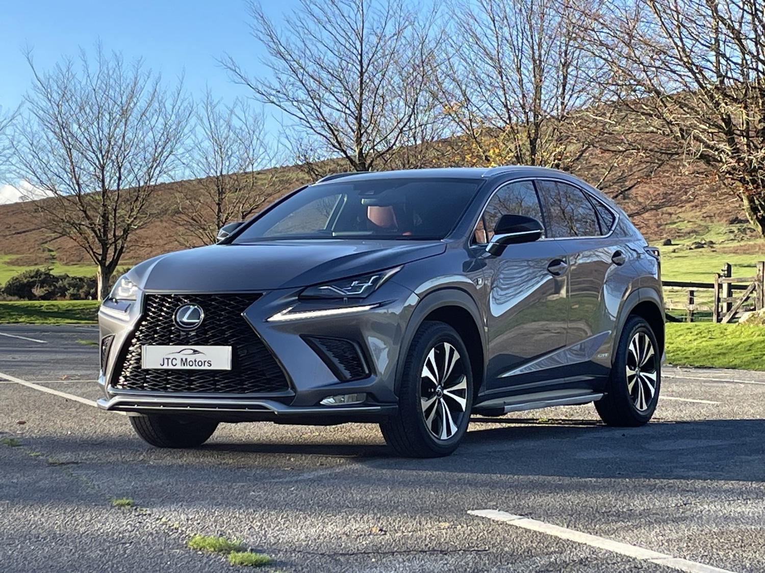 Used Lexus NX 2019 for sale - 76510858: Photo 9