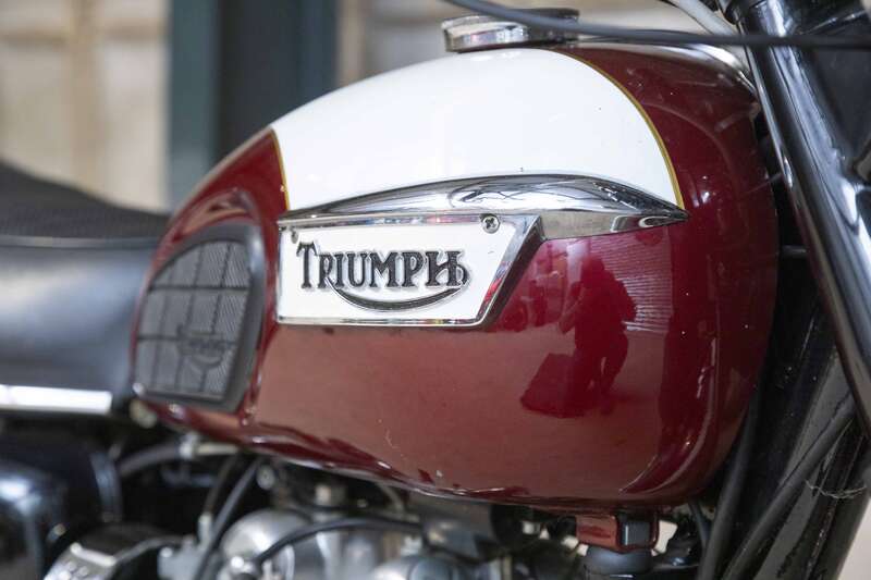 Triumph T100 DAYTONA
