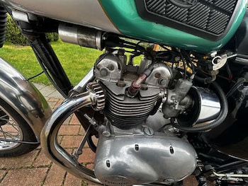 Used Triumph T100R DAYTONA 1956 for sale - bike-78102171: Photo