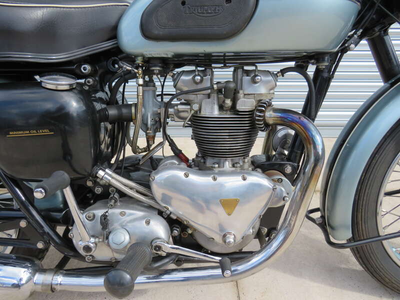 Triumph T100 TIGER