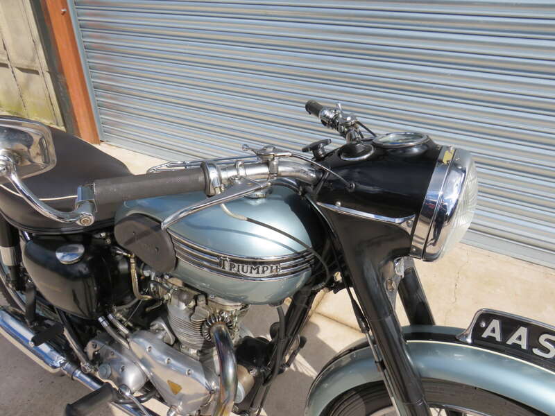 Triumph T100 TIGER