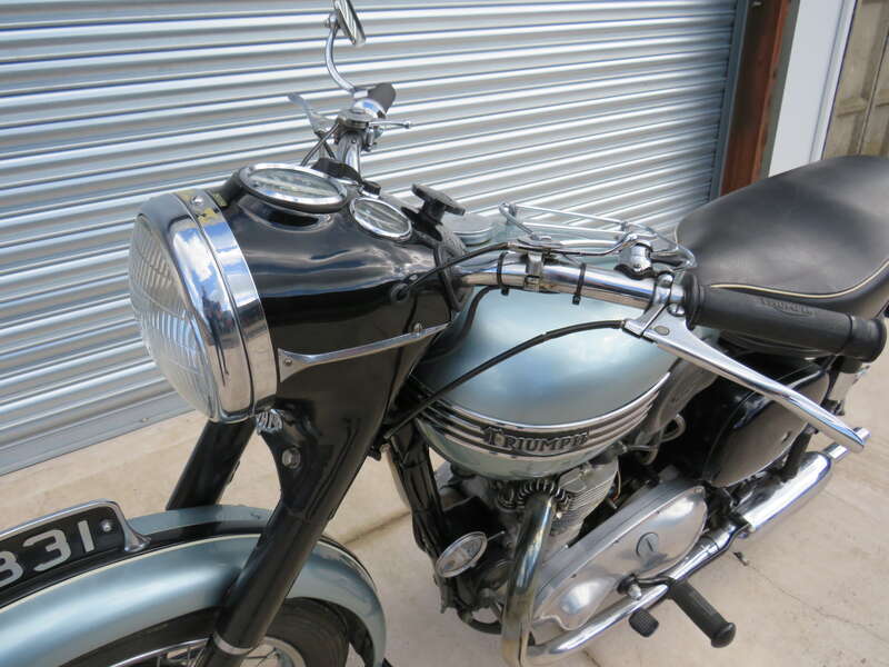 Triumph T100 TIGER