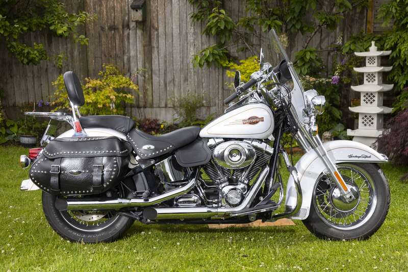 Used Harley-Davidson SOFTAIL CLASSIC 2006 for sale - 78935997: Photo 4