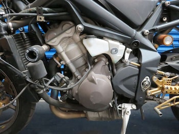 Used Triumph DAYTONA 675 2006 for sale - bike-78539708: Photo